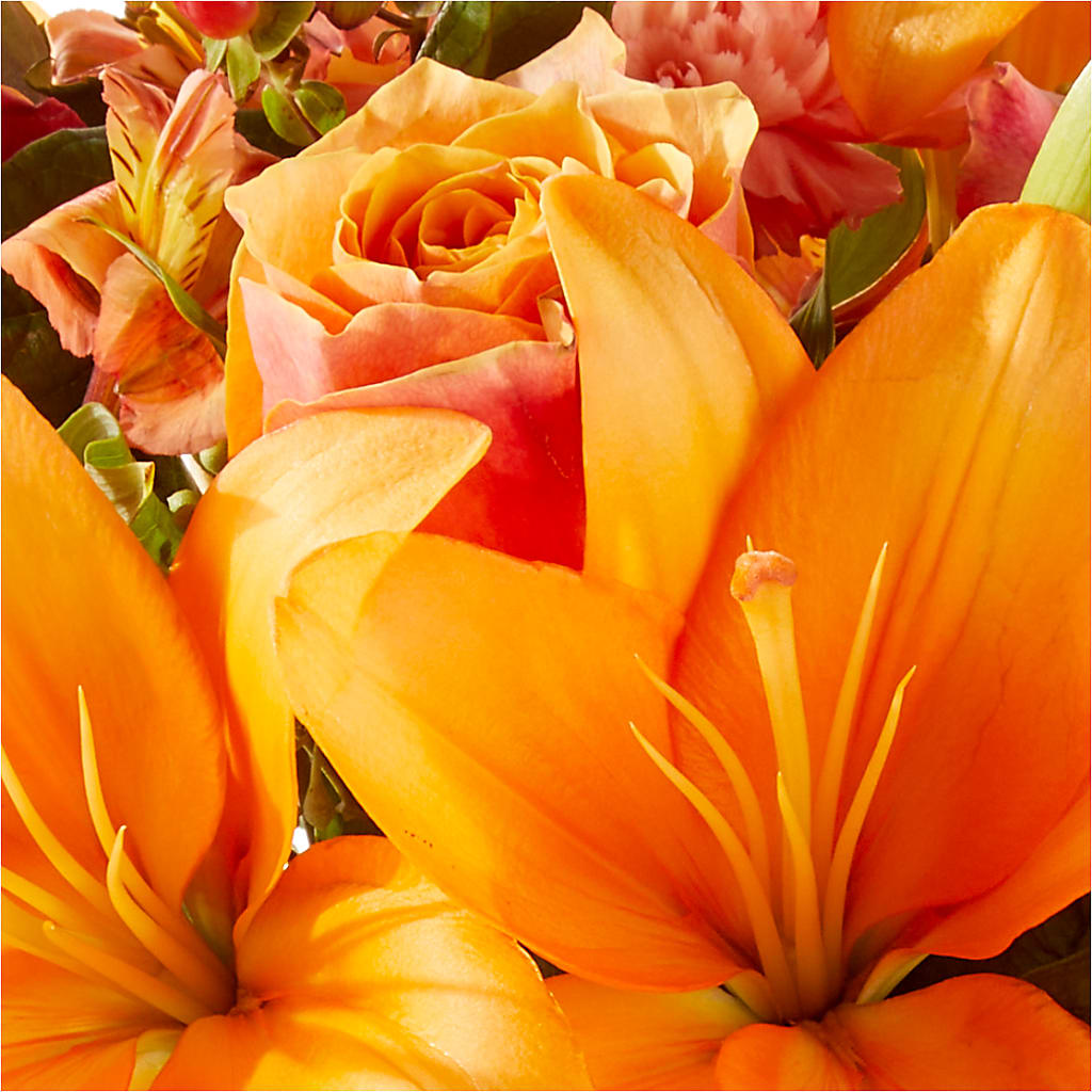 Afternoon Light Bouquet –  Luxe Arrangements, Agawam MA