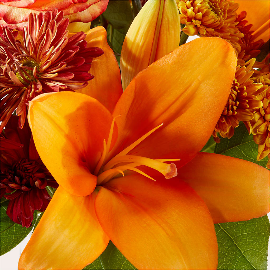 Autumnal Aroma Bouquet –  Luxe Arrangements, Agawam MA