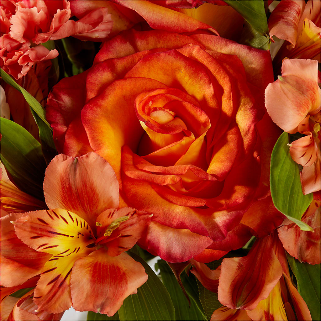 Apricot Glow Bouquet –  Luxe Arrangements, Agawam MA