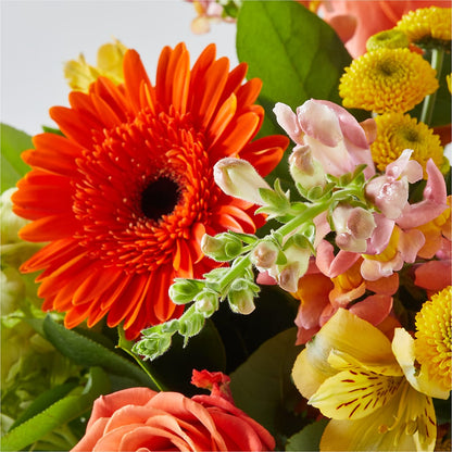 Autumn Sunshine Bouquet –  Luxe Arrangements, Agawam MA