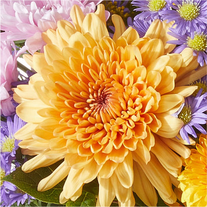 Countryside Bouquet –  Luxe Arrangements, Agawam MA