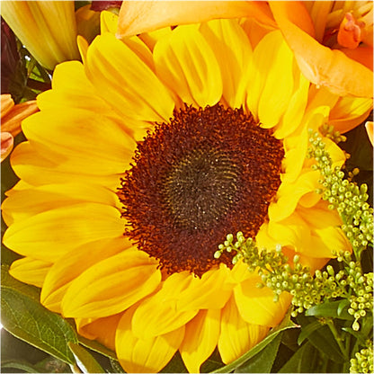 Seasons Change Bouquet –  Luxe Arrangements, Agawam MA