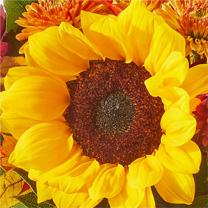 Sunny Side Bouquet –  Luxe Arrangements, Agawam MA