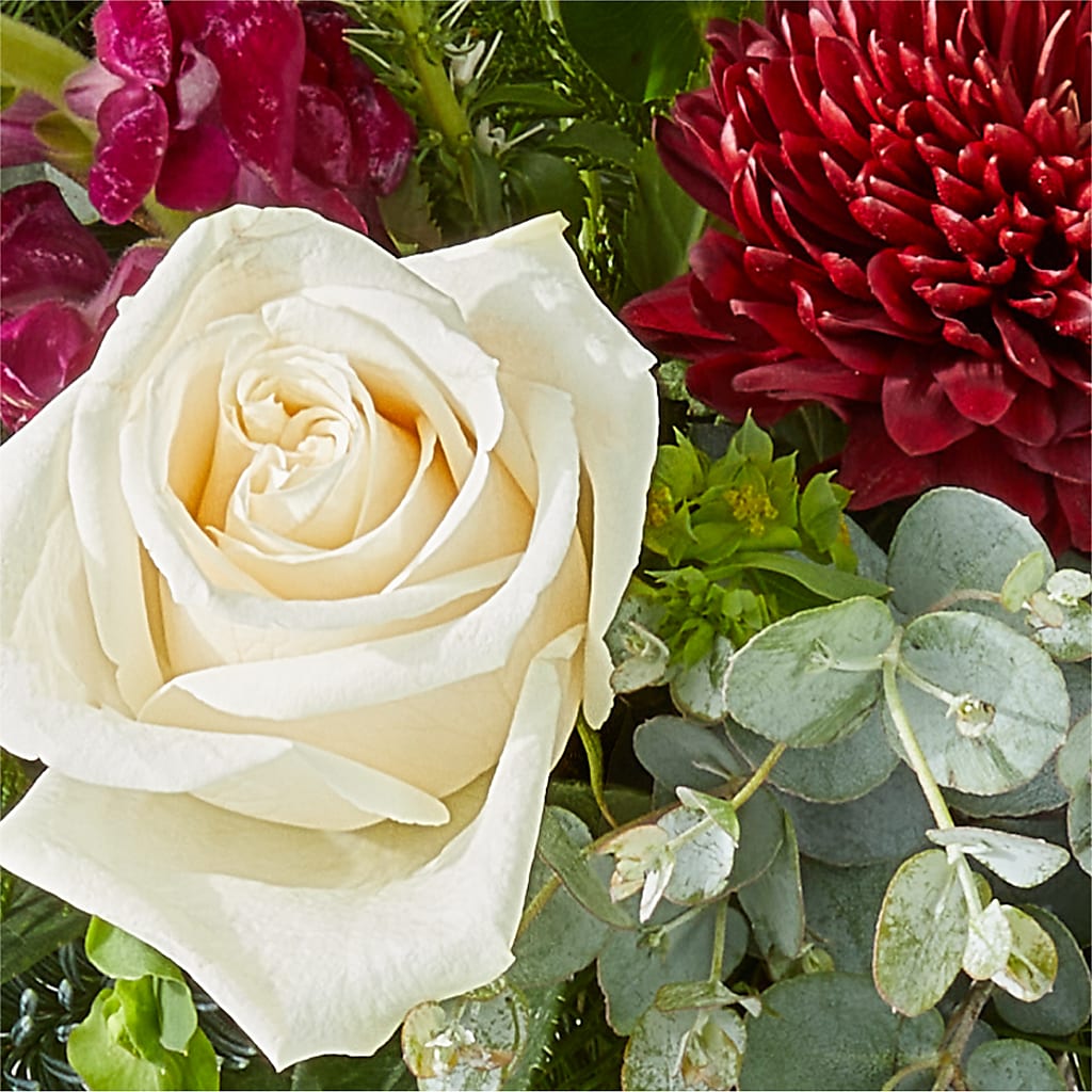 Cranberry Fizz Bouquet –  Luxe Arrangements, Agawam MA