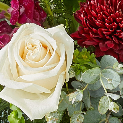 Cranberry Fizz Bouquet –  Luxe Arrangements, Agawam MA