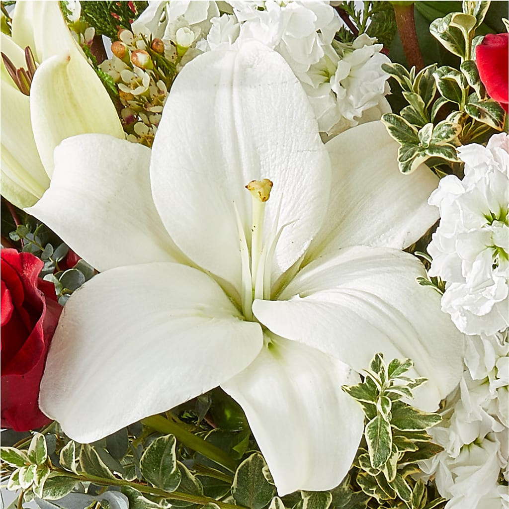 Twinkle Lights Bouquet –  Luxe Arrangements, Agawam MA