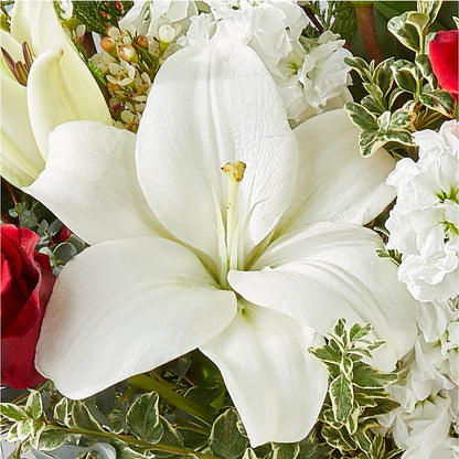 Twinkle Lights Bouquet –  Luxe Arrangements, Agawam MA