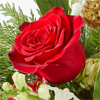 Deck the Halls Bouquet –  Luxe Arrangements, Agawam MA