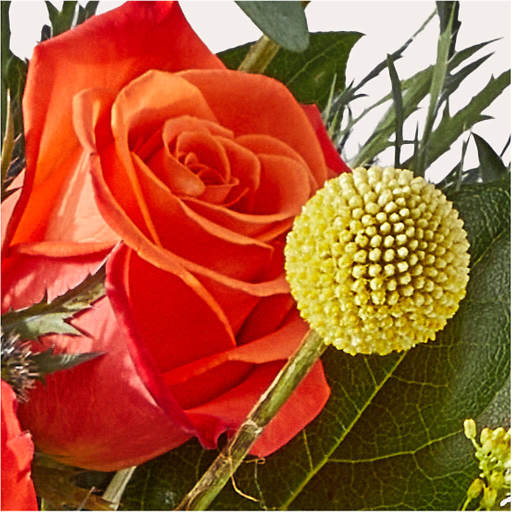 Disco Bouquet –  Luxe Arrangements, Agawam MA
