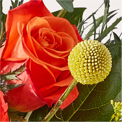 Disco Bouquet –  Luxe Arrangements, Agawam MA