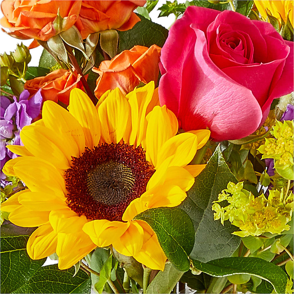 Vibrant Greetings Bouquet –  Luxe Arrangements, Agawam MA