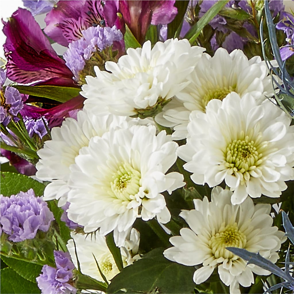 Shooting Star Bouquet –  Luxe Arrangements, Agawam MA