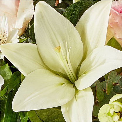 Ballet Slippers Bouquet –  Luxe Arrangements, Agawam MA