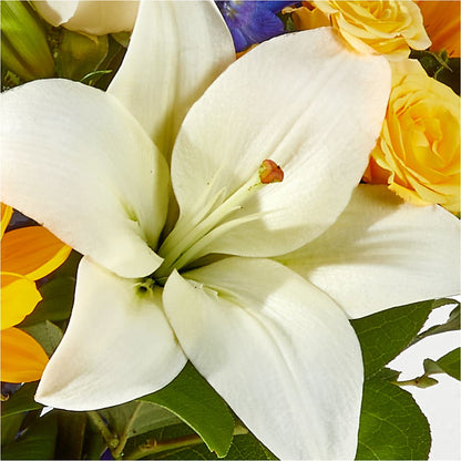 Wonderfully Sunny Bouquet –  Luxe Arrangements, Agawam MA
