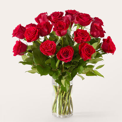 The One Red Rose Bouquet –  Luxe Arrangements, Agawam MA