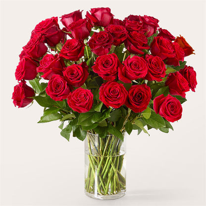 The One Red Rose Bouquet –  Luxe Arrangements, Agawam MA
