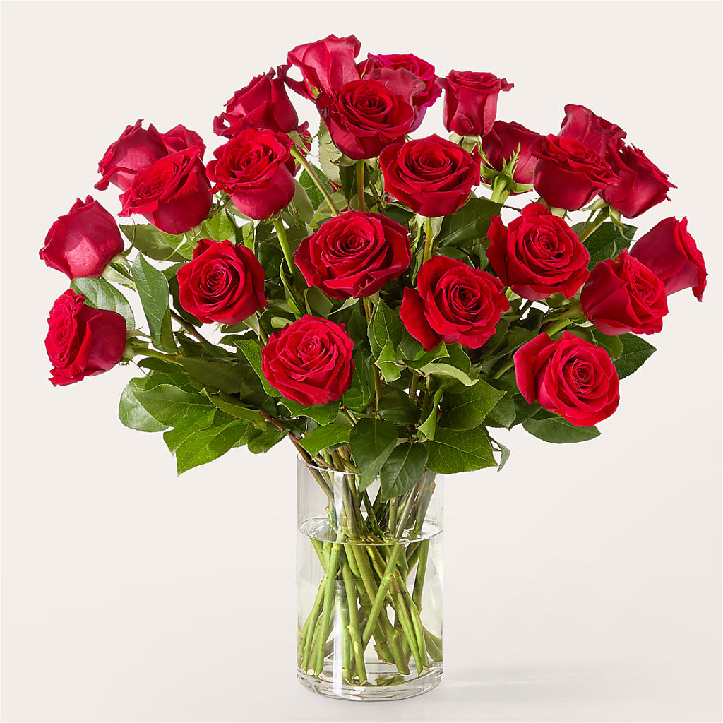 The One Red Rose Bouquet –  Luxe Arrangements, Agawam MA