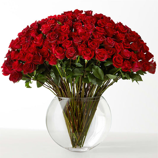 The Idealist –  Luxe Arrangements, Agawam MA