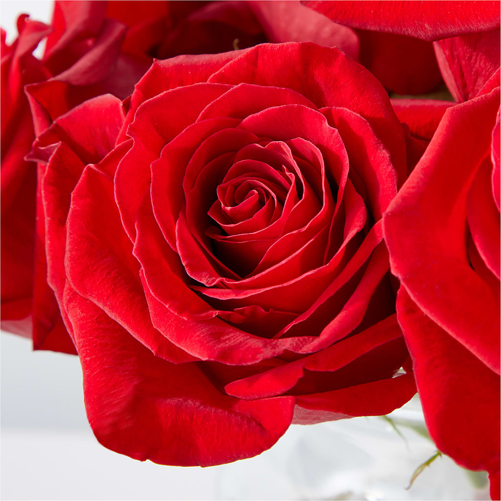 Cupid's Embrace Red Rose Bouquet –  Luxe Arrangements, Agawam MA