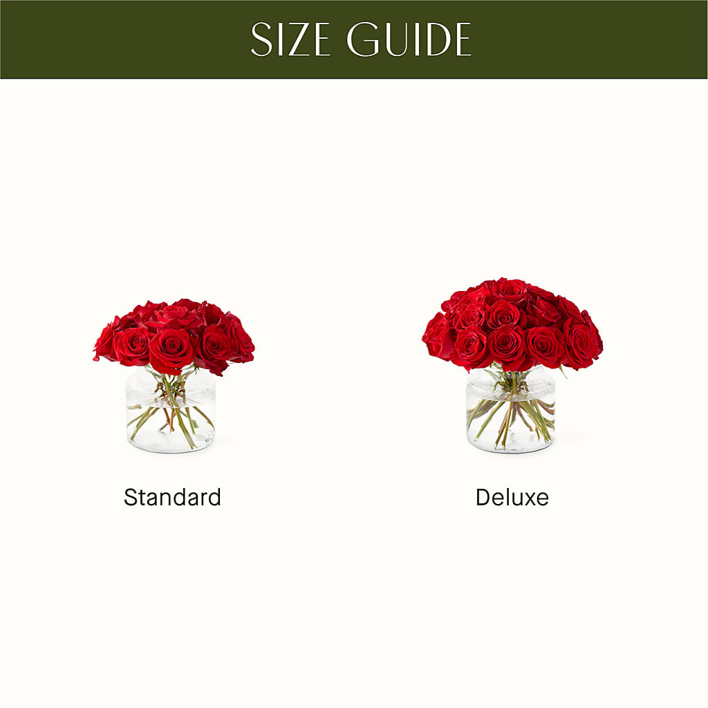 Cupid's Embrace Red Rose Bouquet –  Luxe Arrangements, Agawam MA