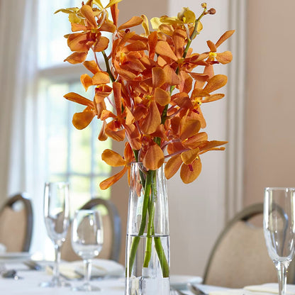 Orange Mokara Bud Vase –  Luxe Arrangements, Agawam MA
