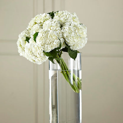 White Hydrangea Hand-Tied Bouquet –  Luxe Arrangements, Agawam MA