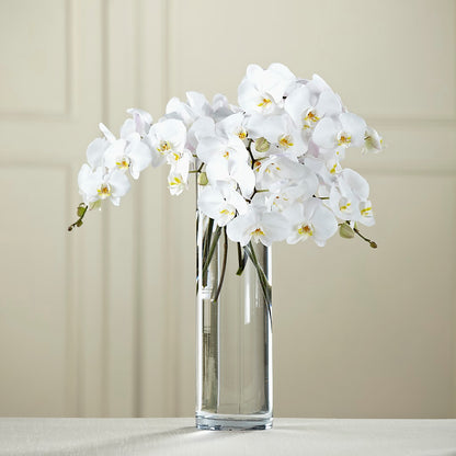 White Phalaenopsis Bouquet –  Luxe Arrangements, Agawam MA