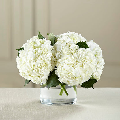 White Hydrangea Bouquet –  Luxe Arrangements, Agawam MA